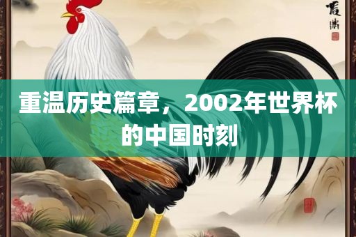 重温历史篇章，2002年世界杯的中国时刻