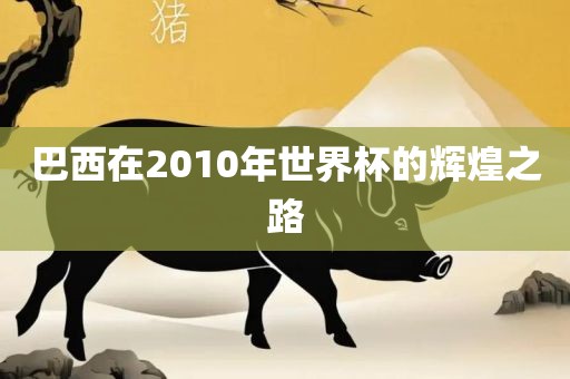 巴西在2010年世界杯的辉煌之路