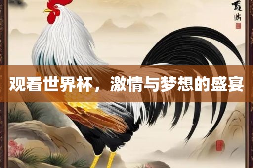 观看世界杯，激情与梦想的盛宴