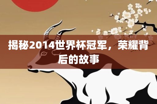 揭秘2014世界杯冠军，荣耀背后的故事