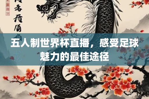 五人制世界杯直播，感受足球魅力的最佳途径