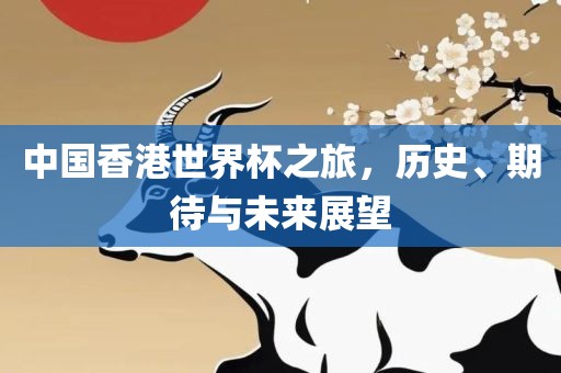 中国香港世界杯之旅，历史、期待与未来展望