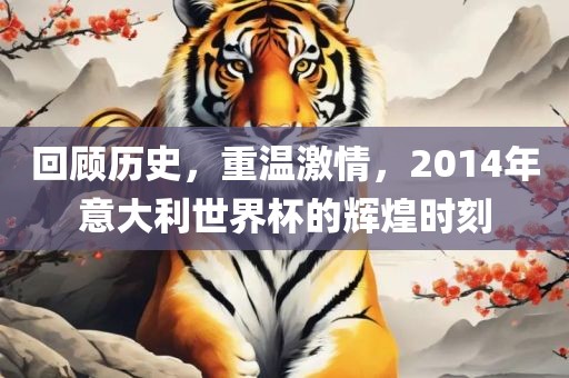 回顾历史，重温激情，2014年意大利世界杯的辉煌时刻