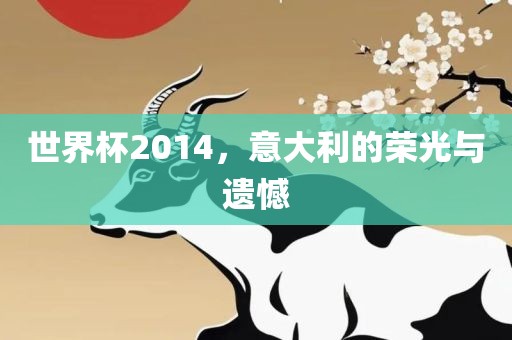 世界杯2014，意大利的荣光与遗憾
