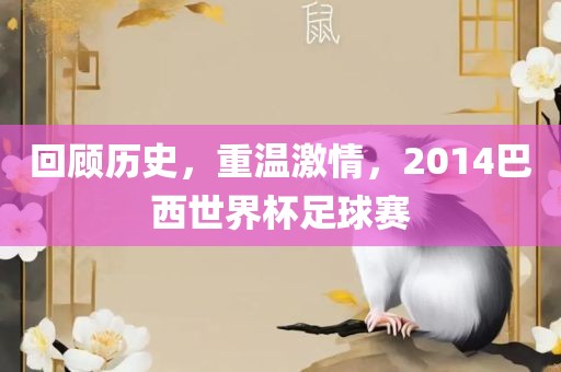 回顾历史，重温激情，2014巴西世界杯足球赛