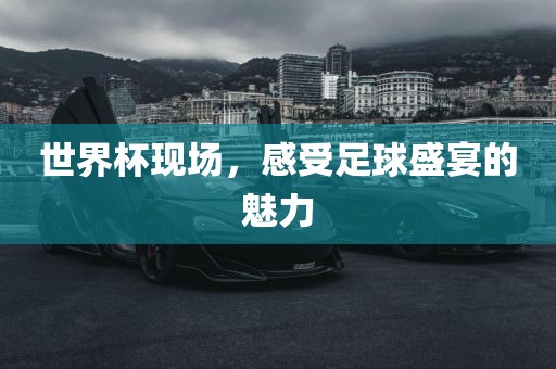 世界杯现场，感受足球盛宴的魅力