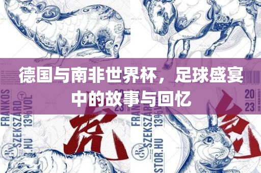 德国与南非世界杯，足球盛宴中的故事与回忆