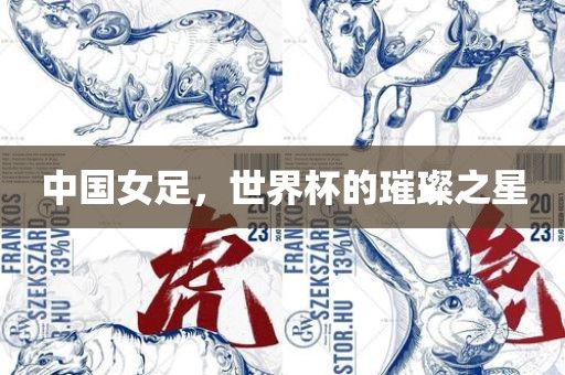 中国女足，世界杯的璀璨之星