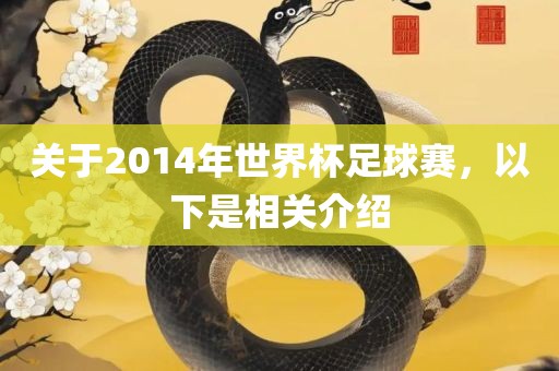 关于2014年世界杯足球赛，以下是相关介绍