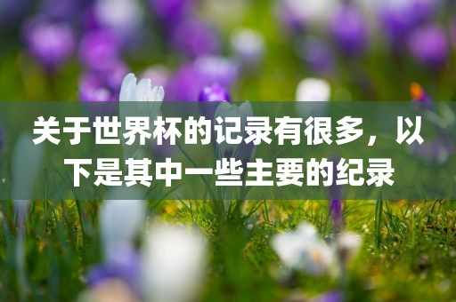 关于世界杯的记录有很多，以下是其中一些主要的纪录