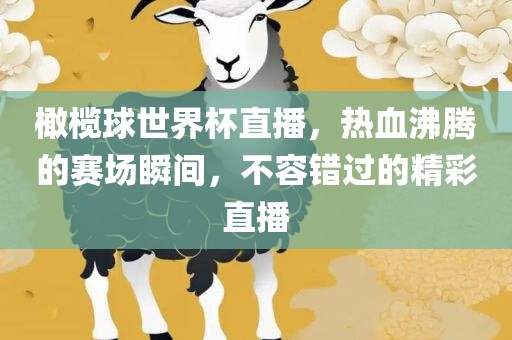 橄榄球世界杯直播，热血沸腾的赛场瞬间，不容错过的精彩直播