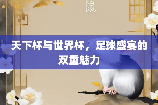 天下杯与世界杯，足球盛宴的双重魅力