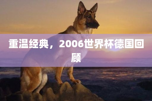 重温经典，2006世界杯德国回顾