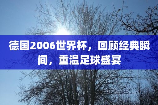 德国2006世界杯，回顾经典瞬间，重温足球盛宴