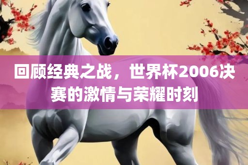 回顾经典之战，世界杯2006决赛的激情与荣耀时刻
