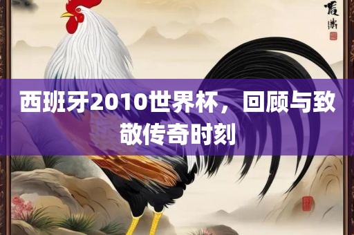西班牙2010世界杯，回顾与致敬传奇时刻