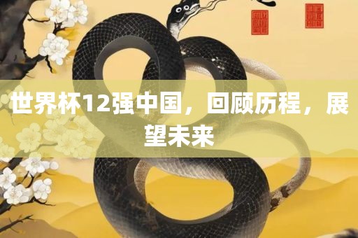 世界杯12强中国，回顾历程，展望未来