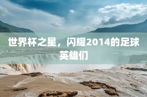 世界杯之星，闪耀2014的足球英雄们