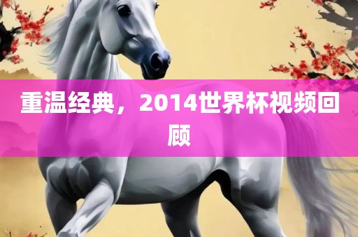 重温经典，2014世界杯视频回顾