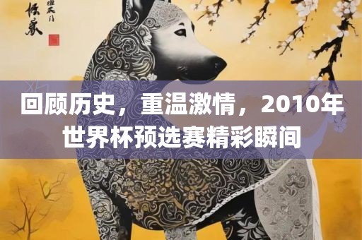 回顾历史，重温激情，2010年世界杯预选赛精彩瞬间
