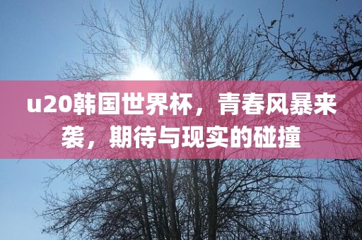 u20韩国世界杯，青春风暴来袭，期待与现实的碰撞