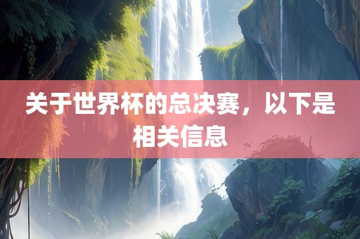 关于世界杯的总决赛，以下是相关信息