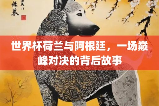 世界杯荷兰与阿根廷，一场巅峰对决的背后故事