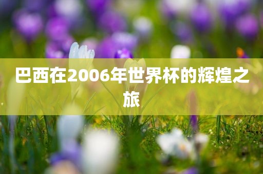 巴西在2006年世界杯的辉煌之旅