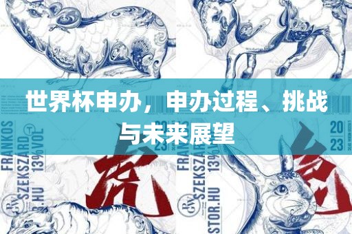 世界杯申办，申办过程、挑战与未来展望