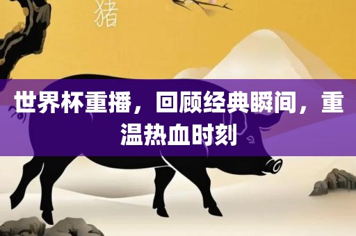世界杯重播，回顾经典瞬间，重温热血时刻