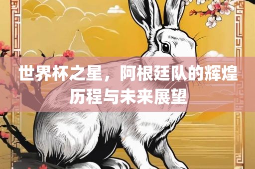 世界杯之星，阿根廷队的辉煌历程与未来展望