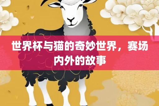 世界杯与猫的奇妙世界，赛场内外的故事