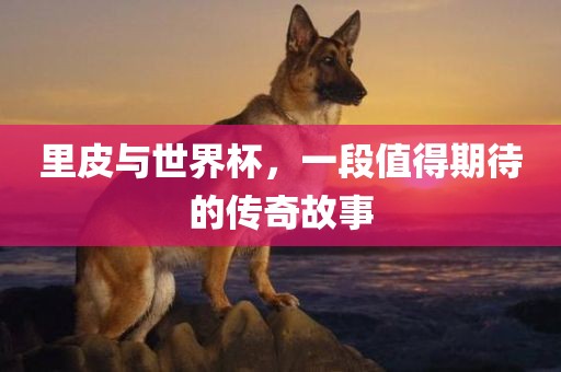 里皮与世界杯，一段值得期待的传奇故事