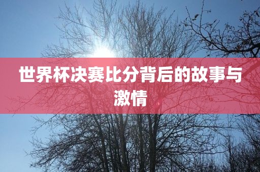 世界杯决赛比分背后的故事与激情