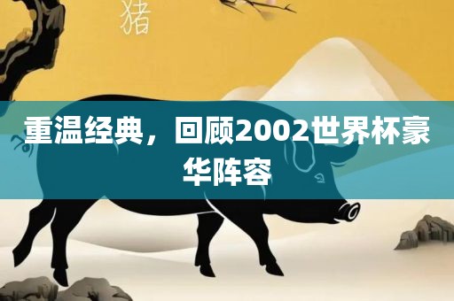 重温经典，回顾2002世界杯豪华阵容