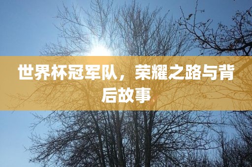 世界杯冠军队，荣耀之路与背后故事