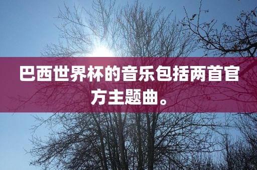 巴西世界杯的音乐包括两首官方主题曲。