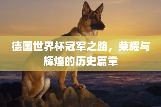 德国世界杯冠军之路，荣耀与辉煌的历史篇章
