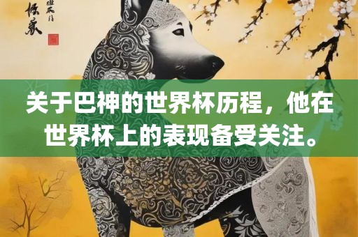 关于巴神的世界杯历程，他在世界杯上的表现备受关注。
