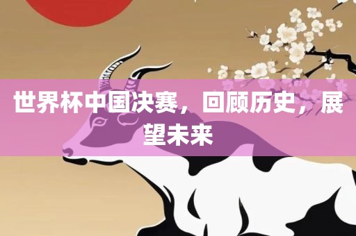 世界杯中国决赛，回顾历史，展望未来