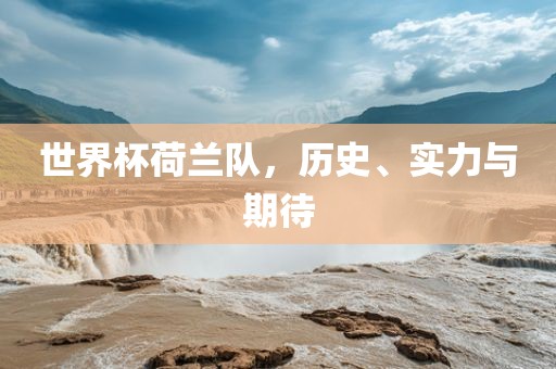 世界杯荷兰队，历史、实力与期待