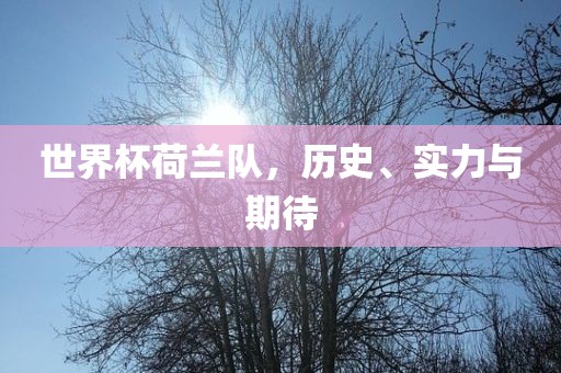 世界杯荷兰队，历史、实力与期待