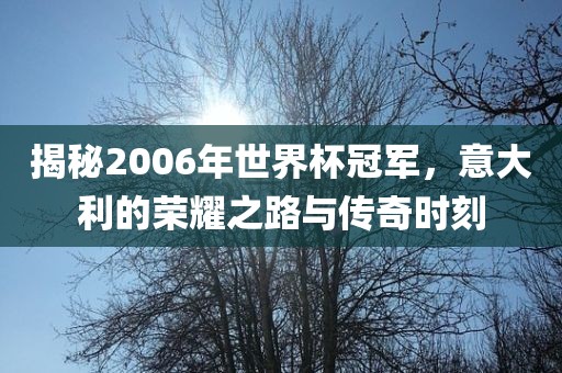 揭秘2006年世界杯冠军，意大利的荣耀之路与传奇时刻吉安市靖泰电力工程有限公司