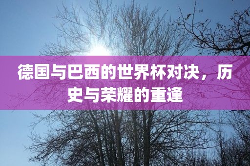 德国与巴西的世界杯对决，历史与荣耀的重逢吉安市靖泰电力工程有限公司