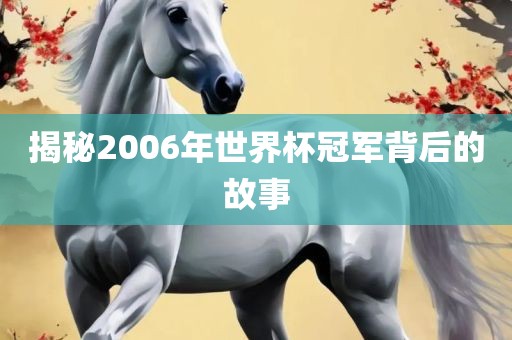 揭秘2006年世界杯冠军背后的故事吉安市靖泰电力工程有限公司