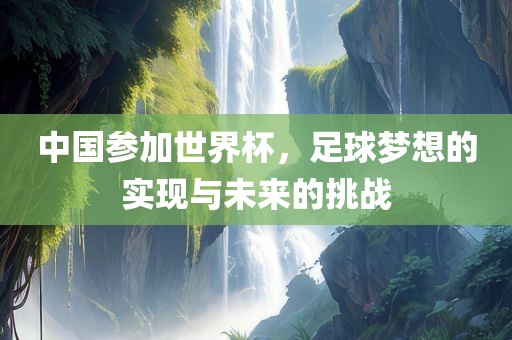 中国参加世界杯，足球梦想的实现与未来的挑战