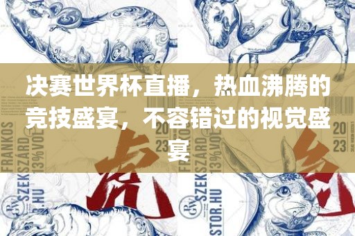 决赛世界杯直播，热血沸腾的竞技盛宴，不容错过的视觉盛宴