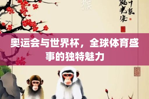 奥运会与世界杯，全球体育盛事的独特魅力