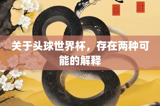 关于头球世界杯，存在两种可能的解释