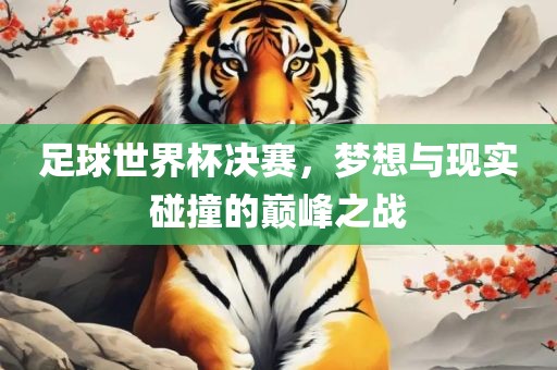 足球世界杯决赛，梦想与现实碰撞的巅峰之战